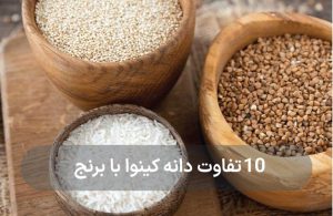 10 تفاوت دانه کینوا با برنج!