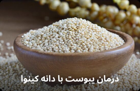 درمان یبوست با دانه کینوا