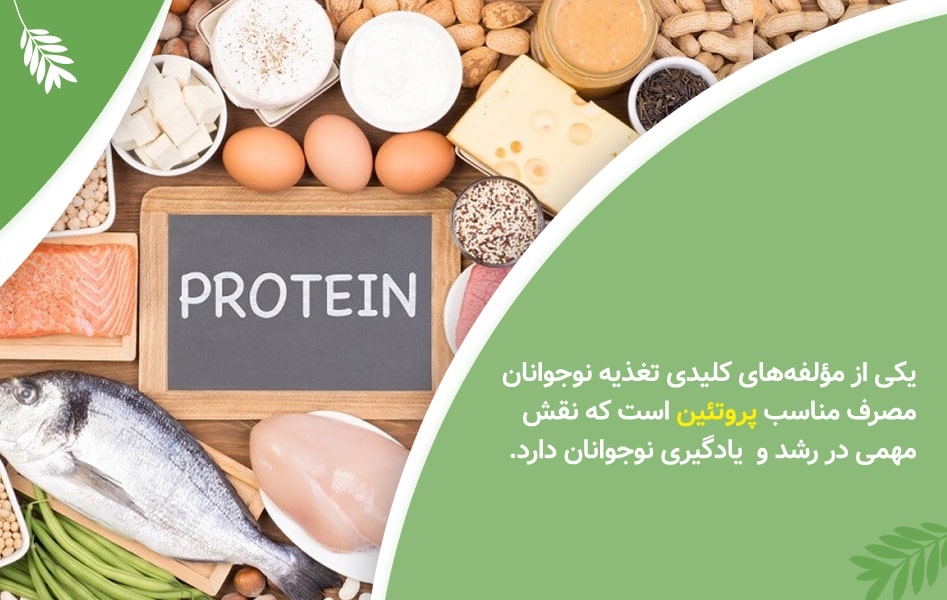 تاثیر پروتئین و تغذیه نوجوانان