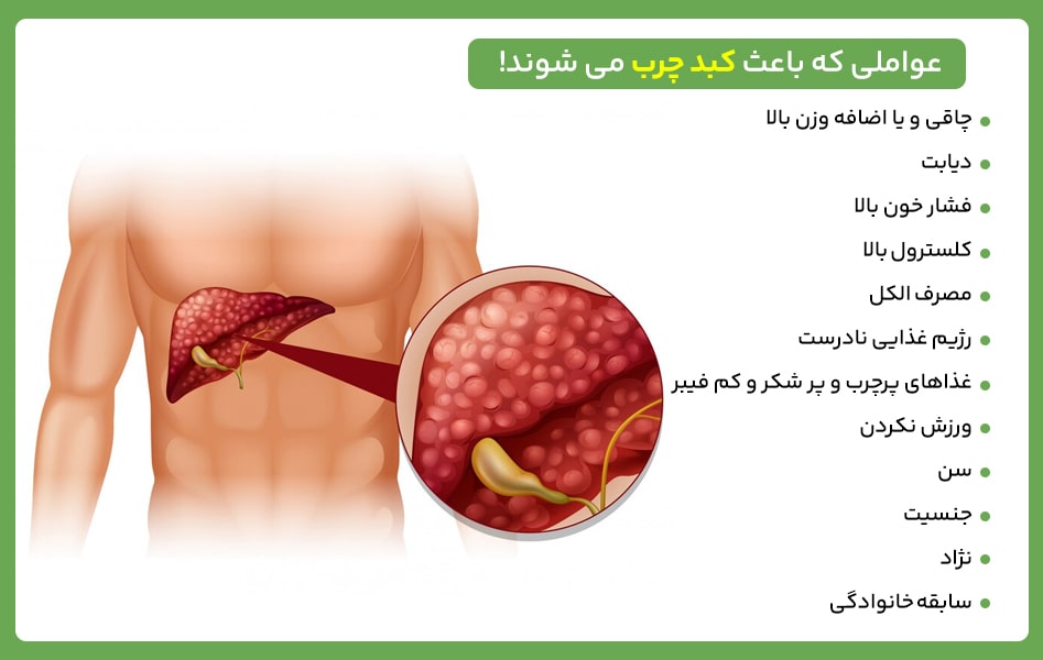 عوامل ایجاد کننده کبد چرب در بدن