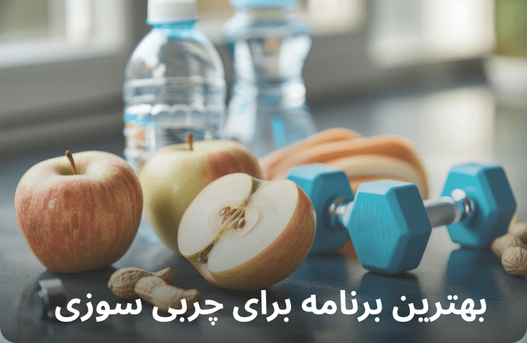 رژیم چربی سوزی