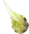 vegetable3